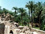 1995_Jordon_027