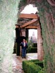 1996