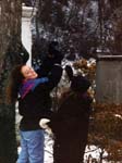 1996