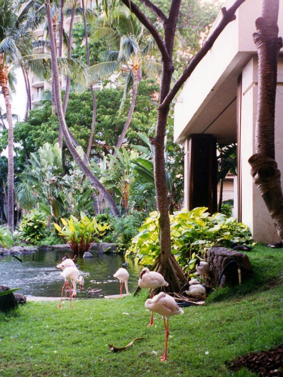 1997_Hawaii_046