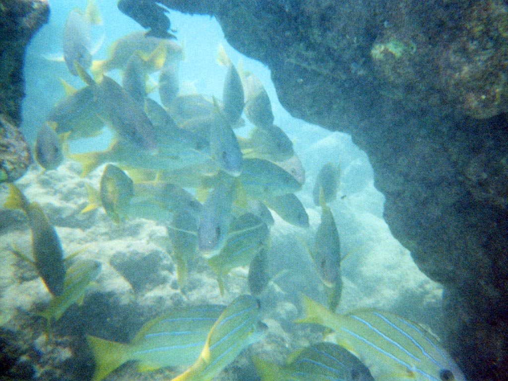 1997_Hawaii_066