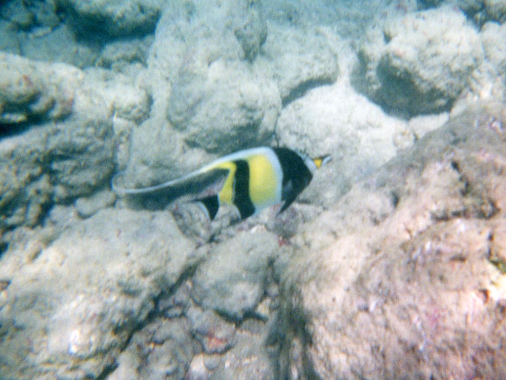 1997_Hawaii_067