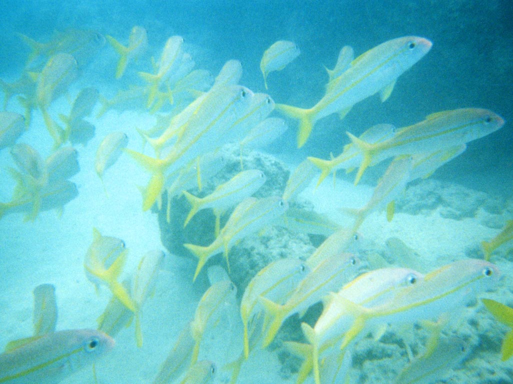1997_Hawaii_068