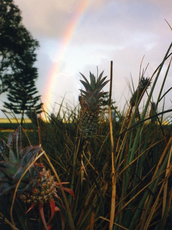 1997_Hawaii_079