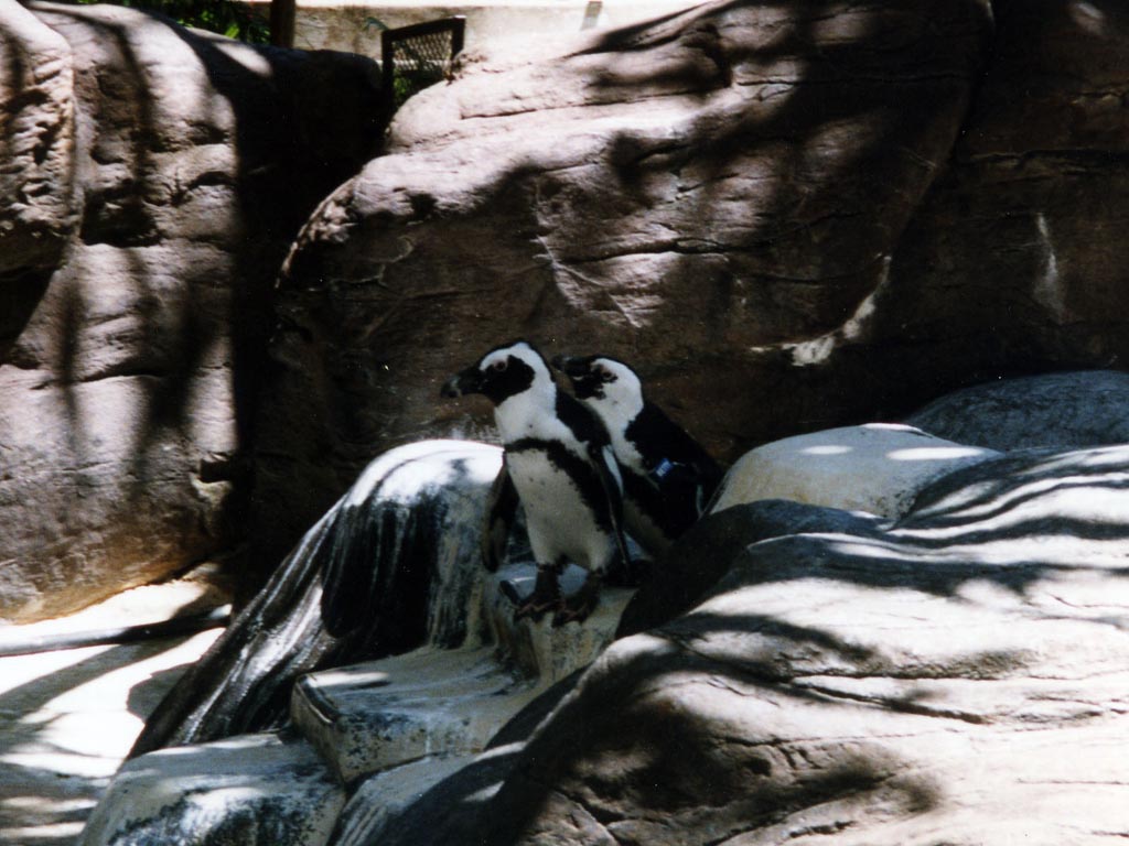 1997_Hawaii_087