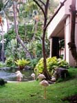 1997_Hawaii_046