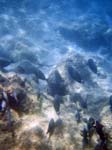 1997_Hawaii_062