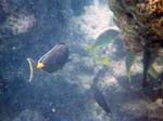 1997_Hawaii_064