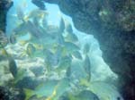 1997_Hawaii_066