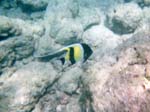 1997_Hawaii_067