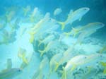 1997_Hawaii_068