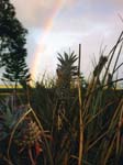 1997_Hawaii_079
