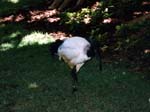 1997_Hawaii_086