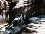 1997_Hawaii_087