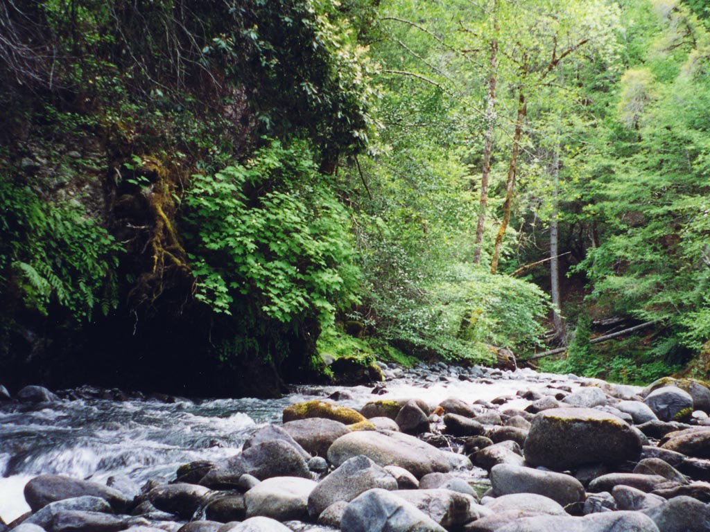 1999_Illinois_012