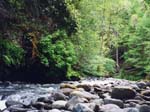 1999_Illinois_012