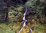 1999_Illinois_044