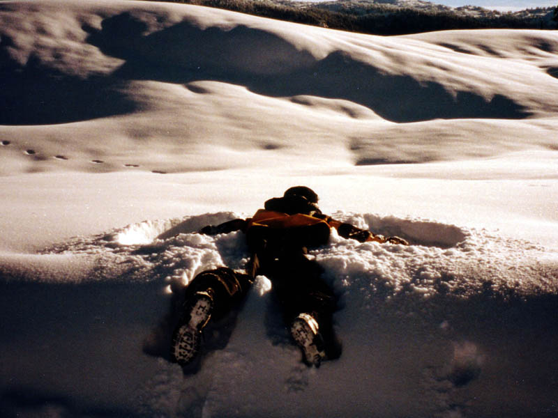 SnowMobile4