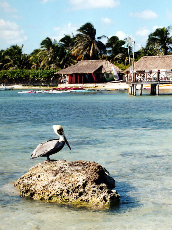 2001_Cancun_010