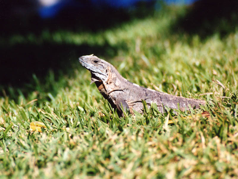 2001_Cancun_011