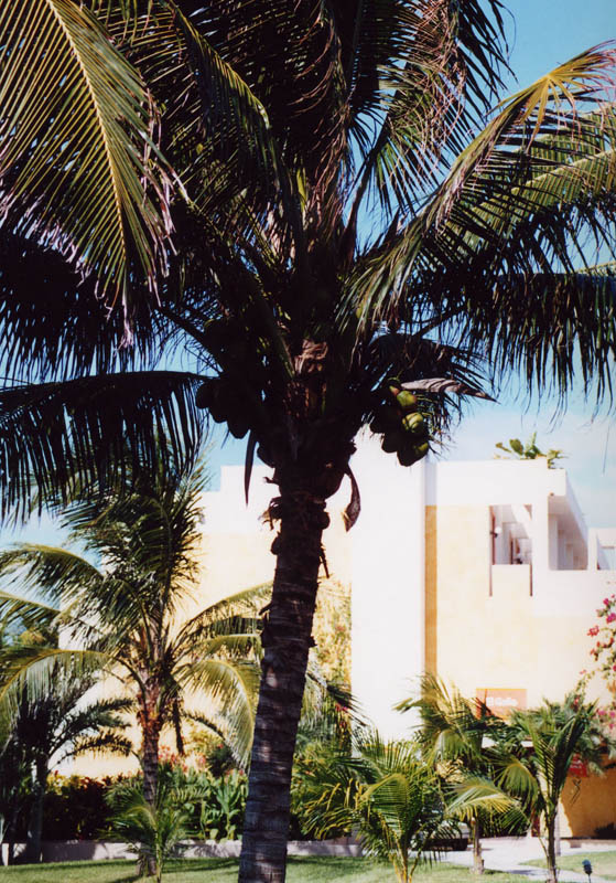 2001_Cancun_016