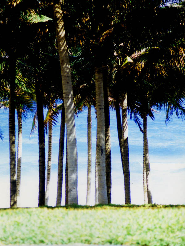 2001_Cancun_097