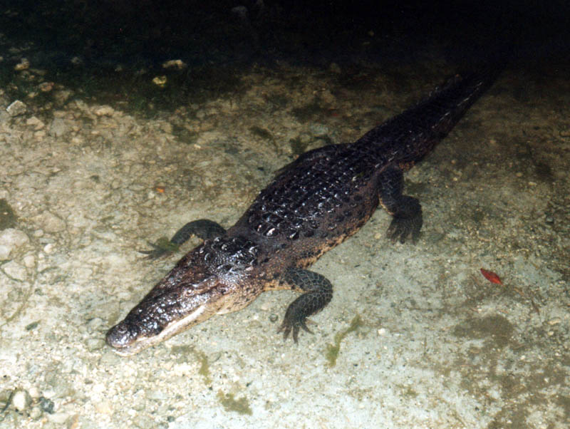2001_Cancun_110