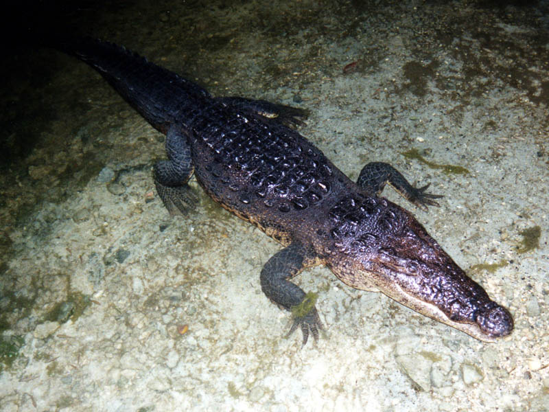 2001_Cancun_111