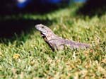 2001_Cancun_011