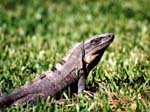 2001_Cancun_012