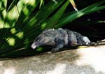 2001_Cancun_014