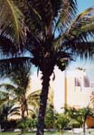 2001_Cancun_016