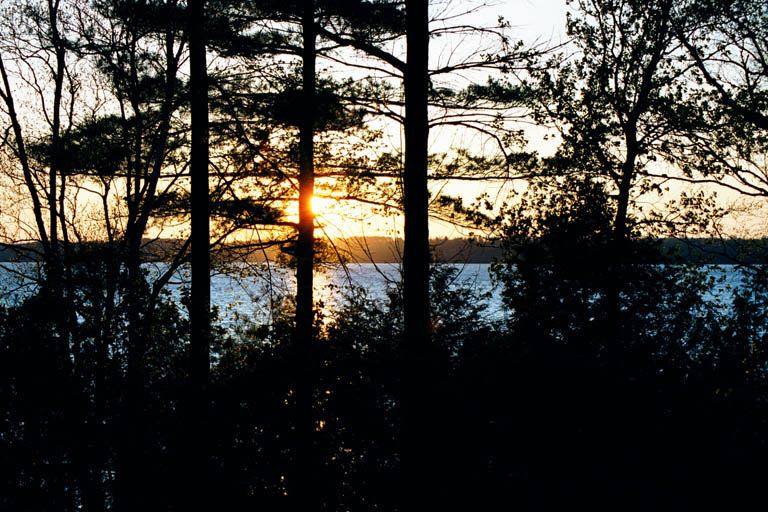 Cottage06