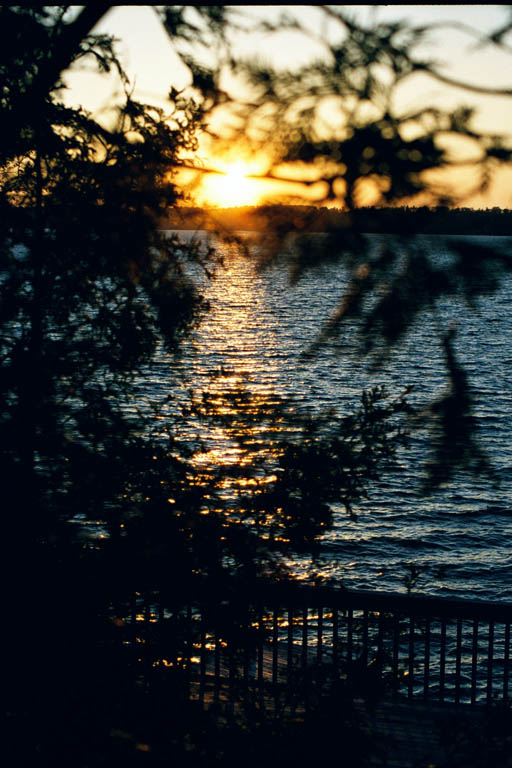 Cottage07
