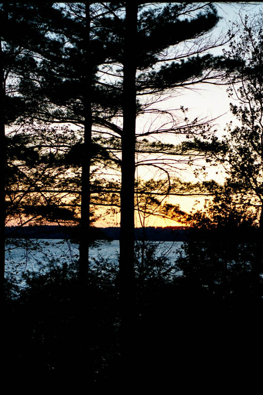 Cottage41