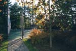 Cottage03
