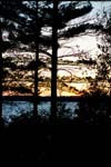 Cottage41