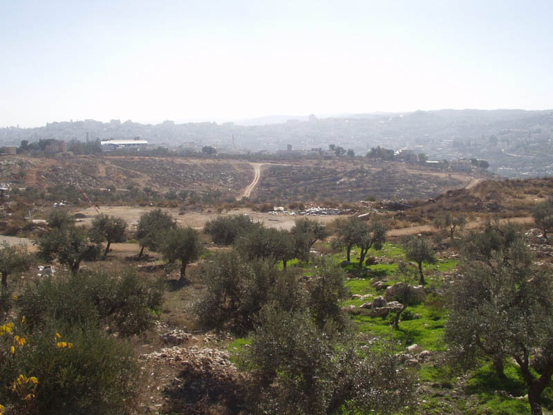 Israel_03
