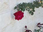 Israel_02