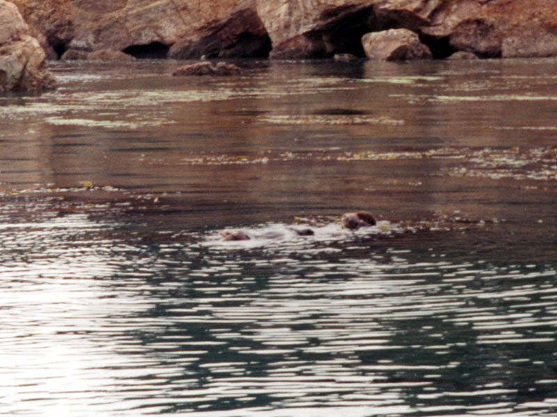 2002_Kama