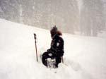 2002_Alpine_009