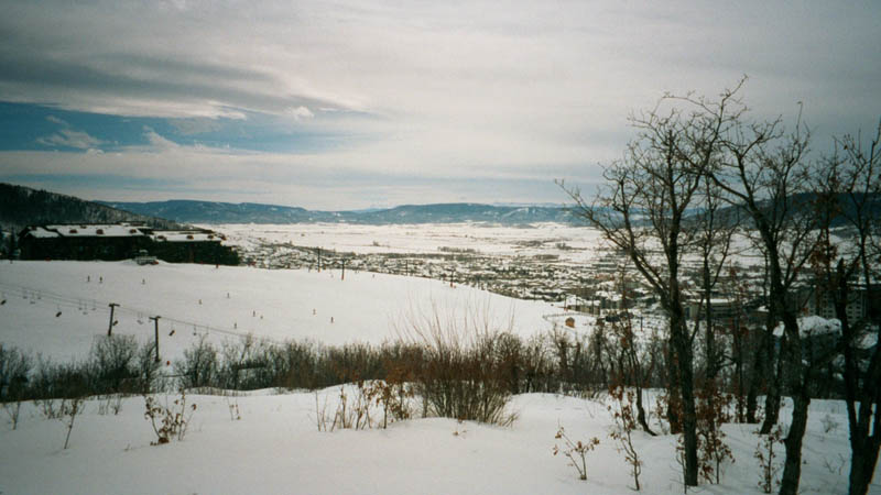 020_20