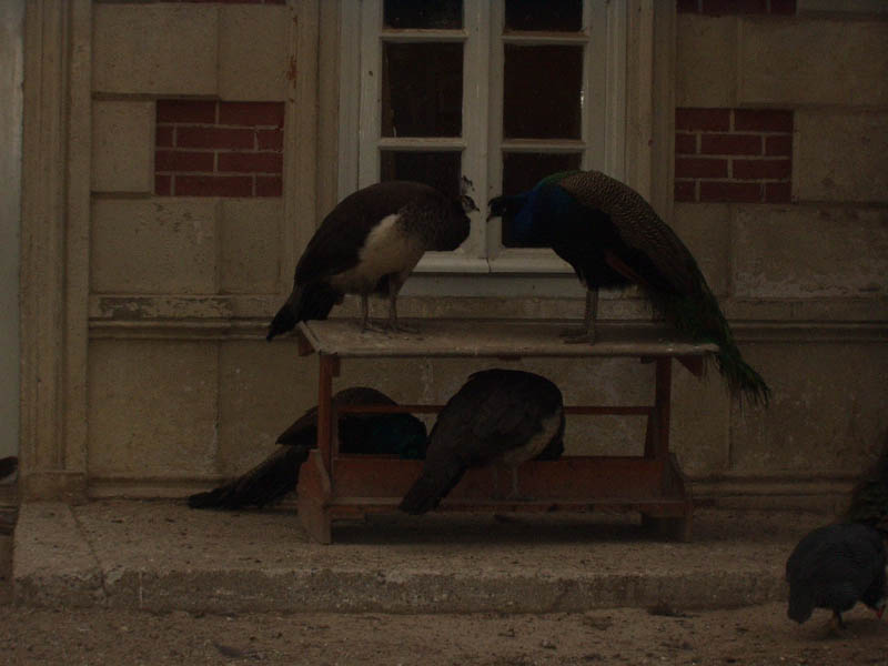 Greece&Turkey