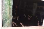 Turkey008_5A