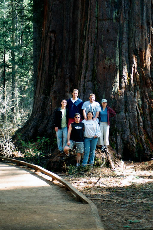 2002_YosemiteCabin_01
