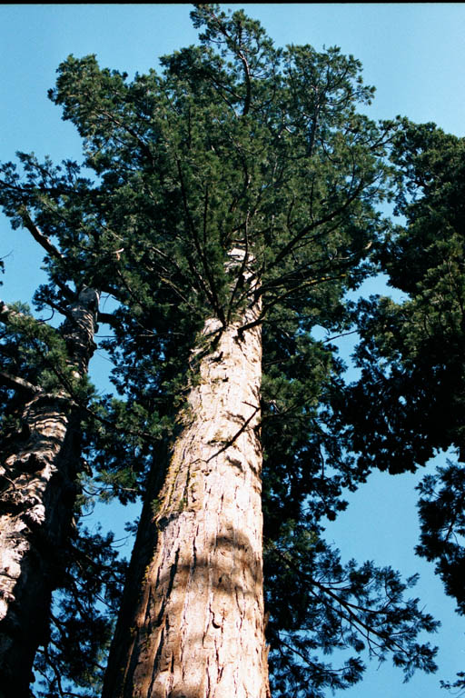 2002_YosemiteCabin_02