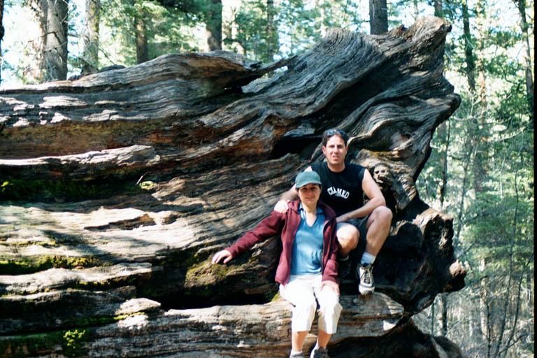 2002_YosemiteCabin_03