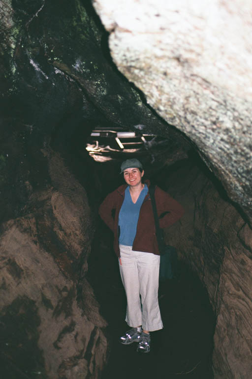 2002_YosemiteCabin_04