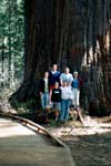 2002_YosemiteCabin_01