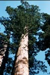 2002_YosemiteCabin_02